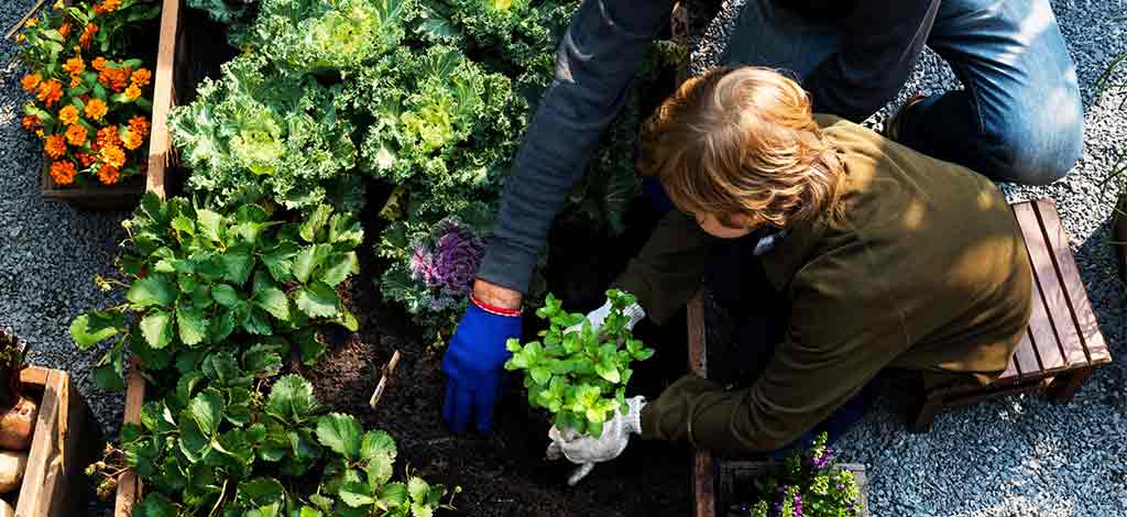 Mon Jardin au naturel | Mulhouse Alsace Agglomération – m2A