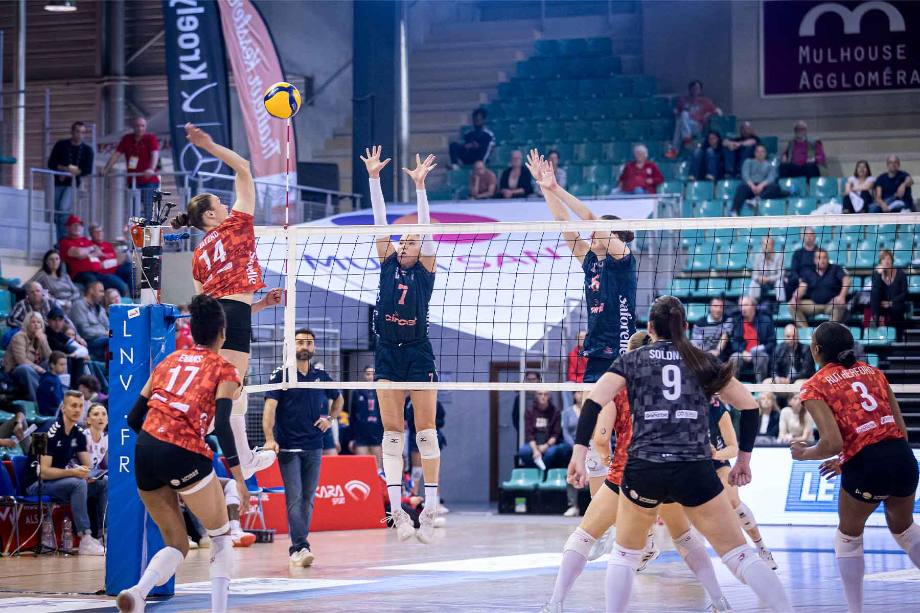 2025-Volley_Mulhouse_Alsace_6