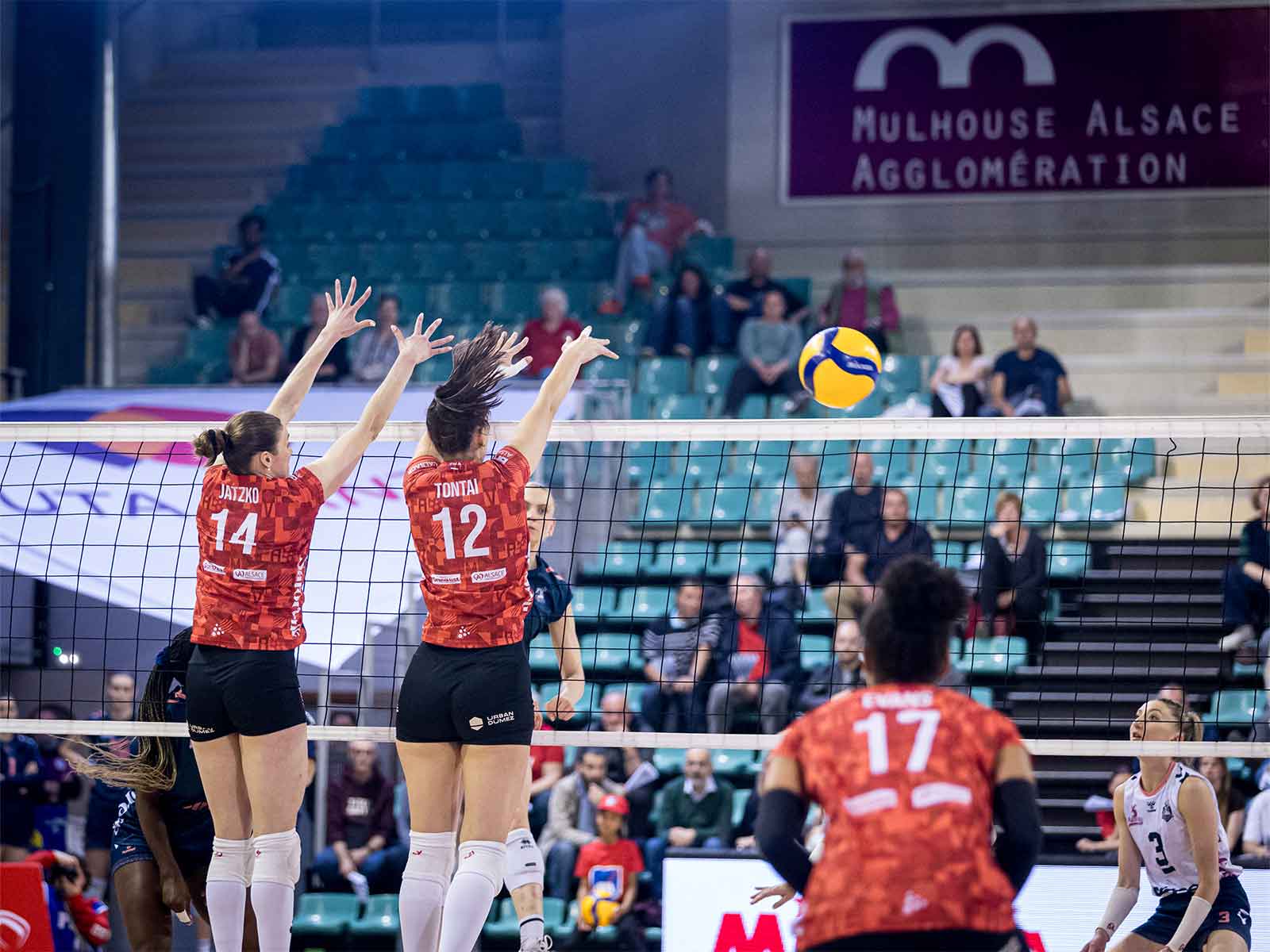 2025-Volley_Mulhouse_Alsace_7